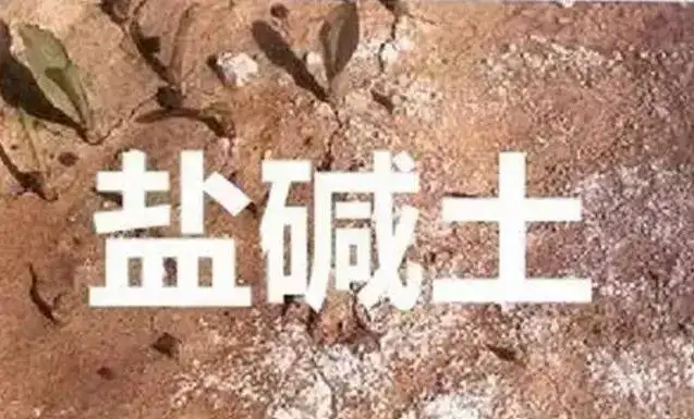 作物為什么生長不健康，用土壤EC計測測便知