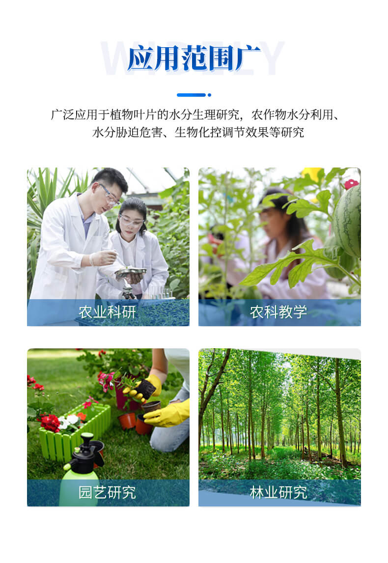 植物蒸騰速率測(cè)定儀