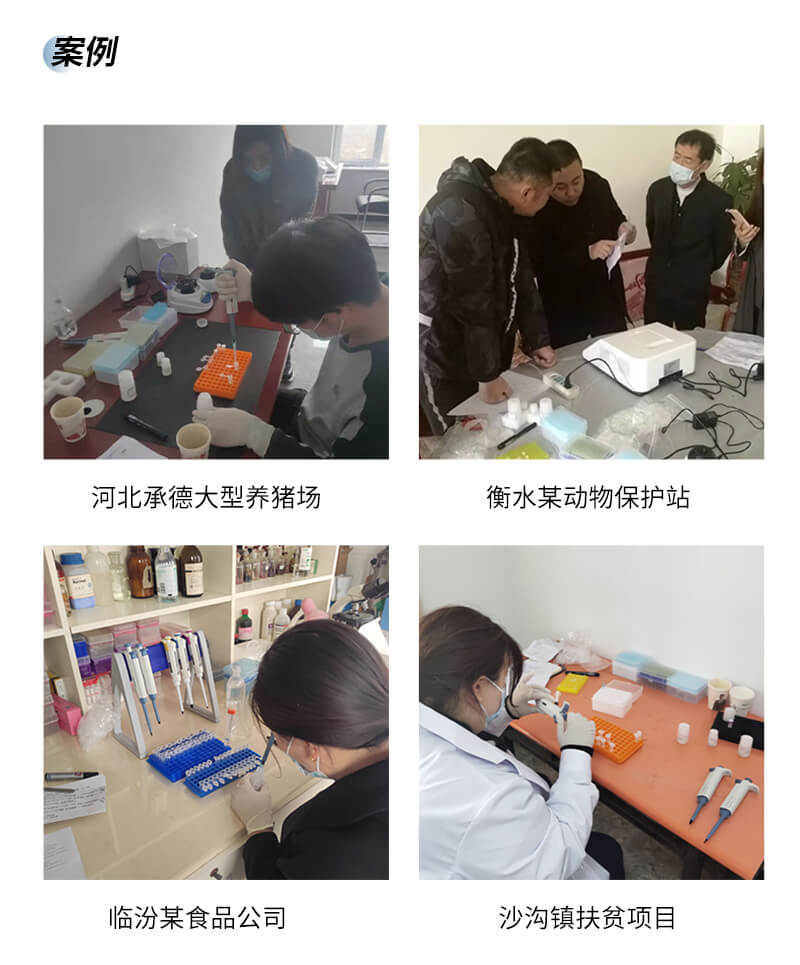 熒光定量PCR檢測儀